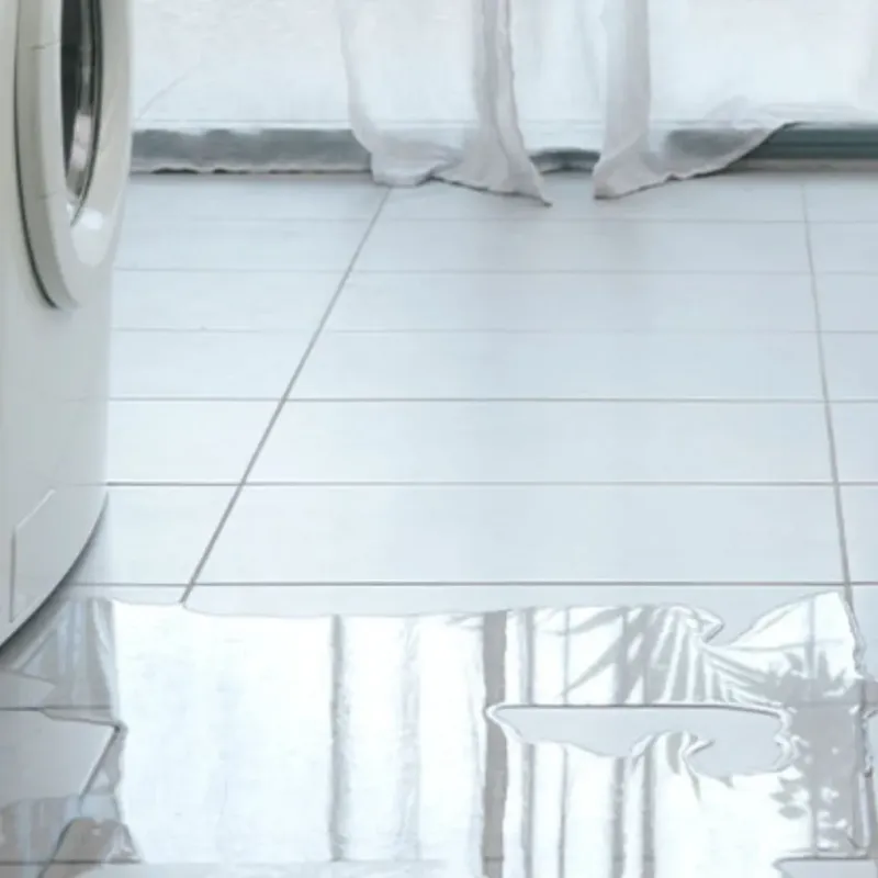 Appliance Leak Cleanup in Globe, AZ