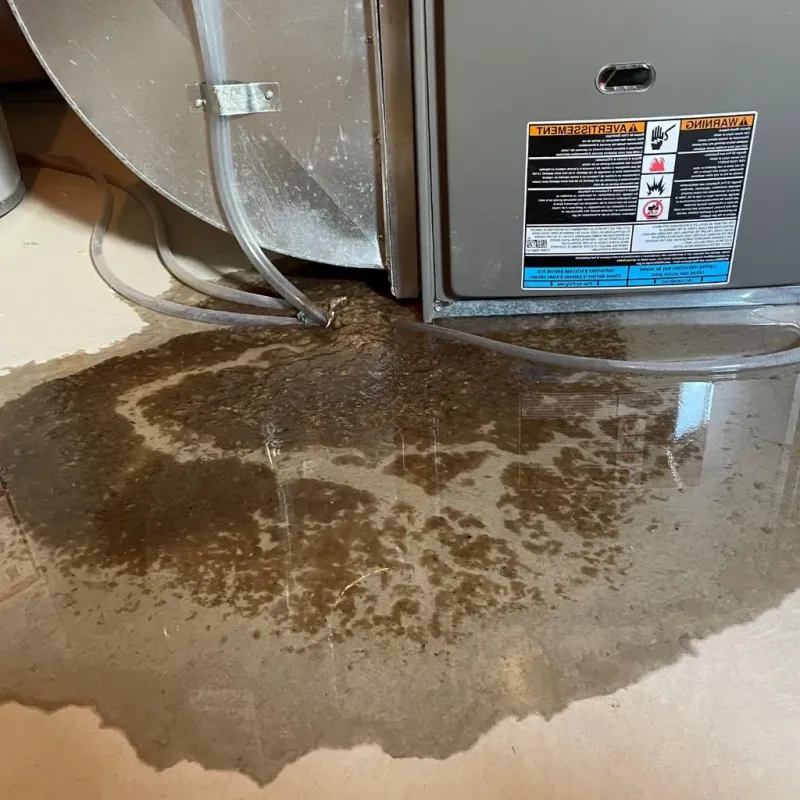 Pipe Burst and Leak Restoration in Globe, AZ